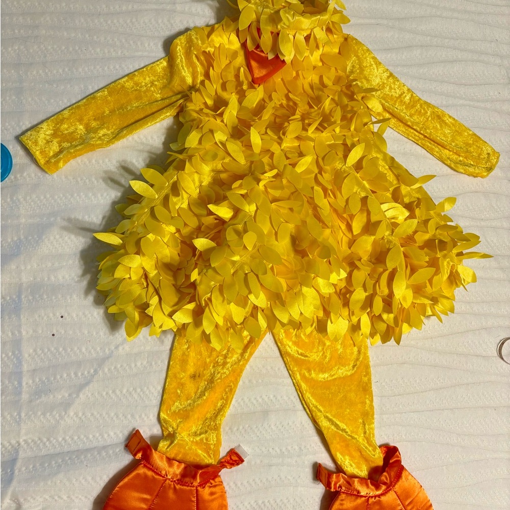 Chasing Fireflies Little Chicken costume (size 4).